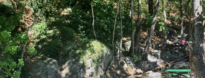 Kazdağı Millî Parkı is one of Balıkesir.