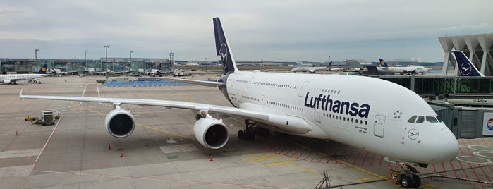 Lufthansa Flight LH 454 is one of The Lufthansa A380 flights.