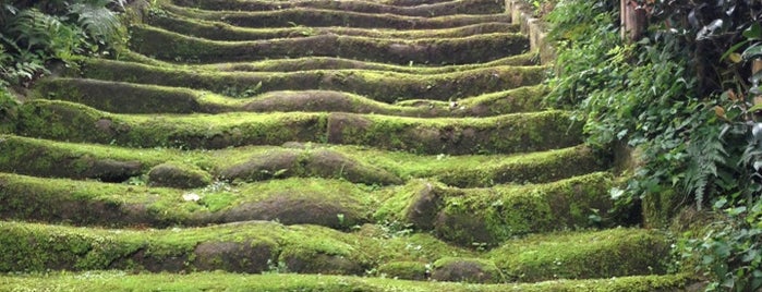 Sugimotodera Temple is one of Lugares favoritos de doremi.