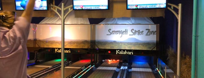 Kalahari Arcade is one of สถานที่ที่ Bridget ถูกใจ.