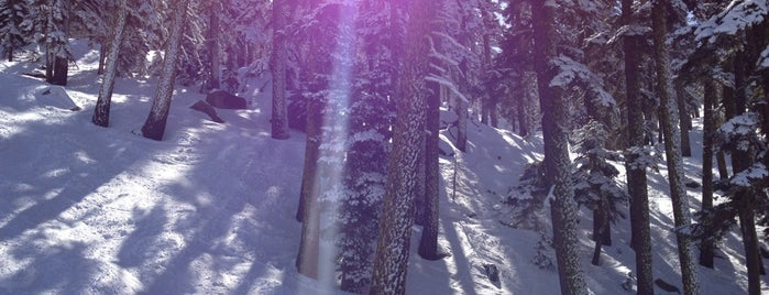 Sierra-at-Tahoe Resort is one of Our favorite ski resorts.