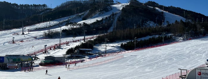 Alpensia Resort Ski Area is one of Korea.