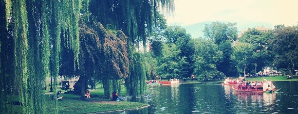 Boston Public Garden is one of Boston Hits.