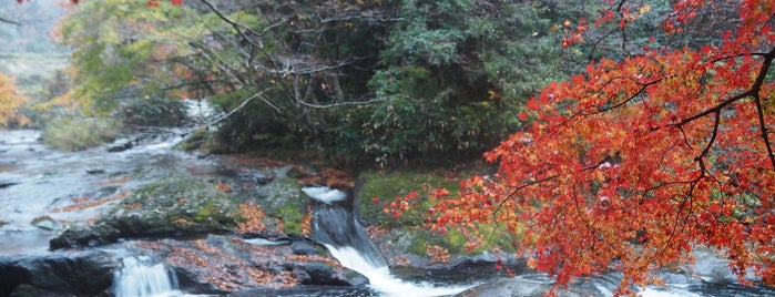 Yaedaki Falls is one of 日本の滝百選.
