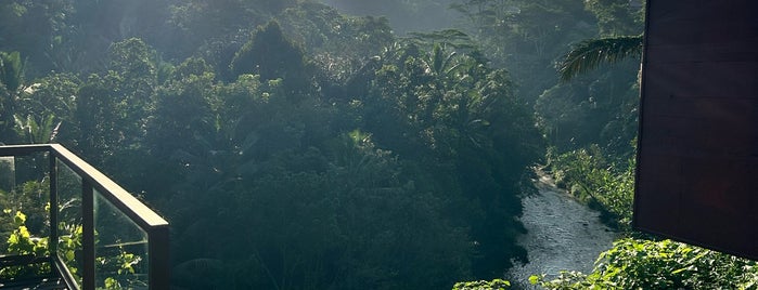 Kupu Kupu Barong Resort And Tree Spa is one of Bali.