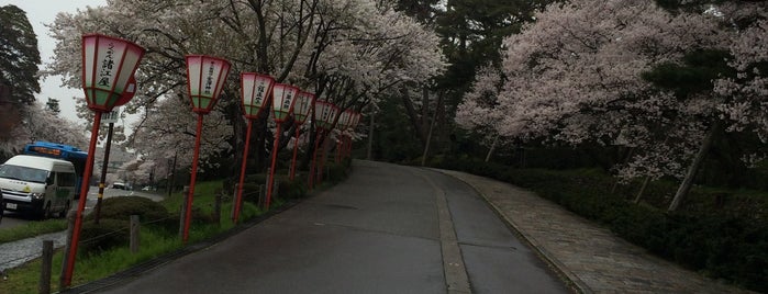 Kenrokuen Garden is one of สถานที่ที่ Nicole ถูกใจ.