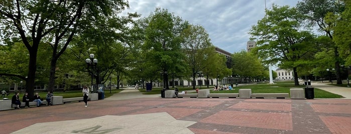 University of Michigan Diag is one of Ann Arbor/Detroit Reccos.