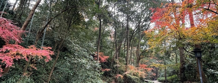 Dreaming of the Tiger Spring is one of Hangzhou.CA.