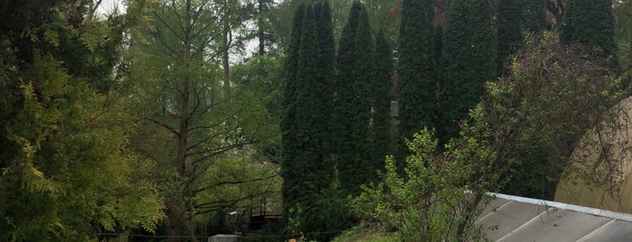 Кременецький ботанічний сад is one of Orte, die Андрей gefallen.