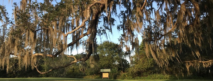 Kanapaha Veterans Memorial Park is one of Nest Atlas GNV.