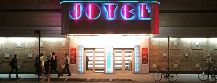 The Joyce Theater is one of nyc - fun.