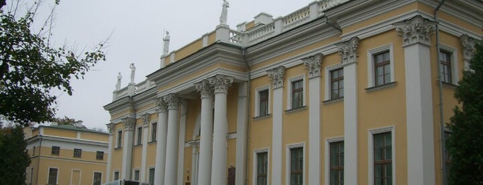 Дворец Румянцевых-Паскевичей is one of Сядзiбы i палацы Беларусi.