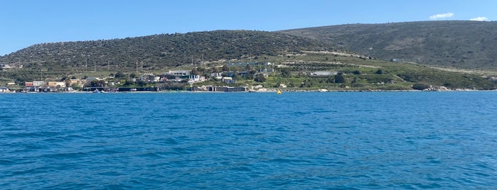 Çağla Kubat Windsurf Academy is one of Melek's Free Zone.