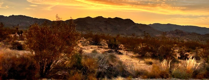 Twenty Nine Palms is one of Tempat yang Disukai Pericles.