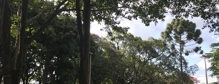 Praça Christiano Altenfelder Silva (Praça XV) is one of São Carlos - Amo muito tudo isso!.