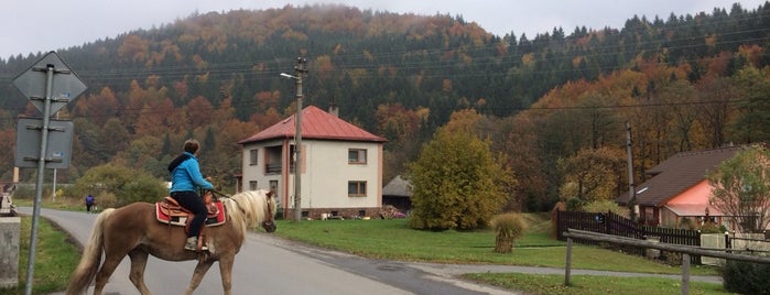 Rajnochovice is one of [R] Města, obce a vesnice ČR | Cities&towns CZ 1/2.