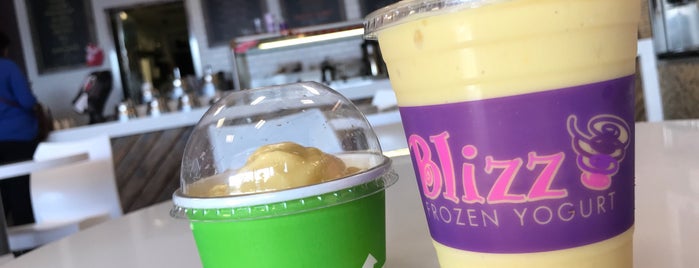 Blizz Frozen Yogurt is one of Favorites.
