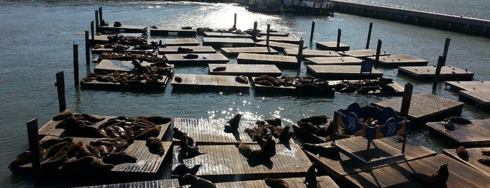 Pier 39 is one of Trips / San Francisco, CA, USA.