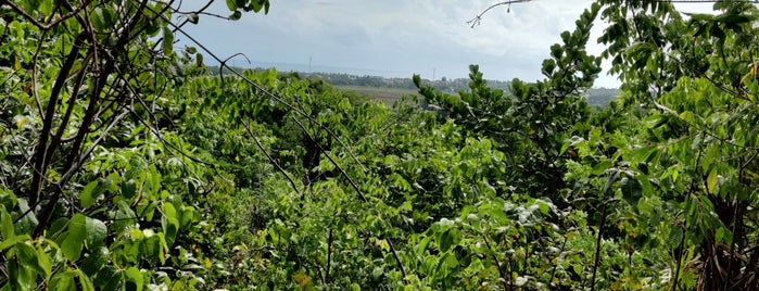 El Choco Protected Area y Las Cuevas de Cabarete is one of Dominican Republic 2017.