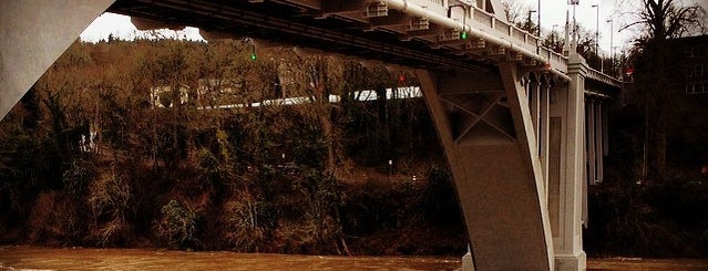 Oregon City Historic Bridge is one of Tempat yang Disukai Rosana.