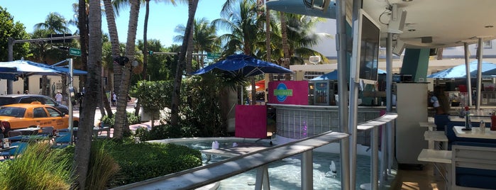 Clevelander South Beach Hotel and Bar is one of Lugares favoritos de Marty.