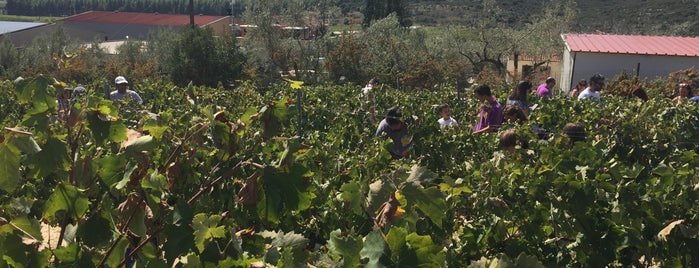 Οινοποιείο Λαφαζάνη is one of Lieux qui ont plu à mariza.