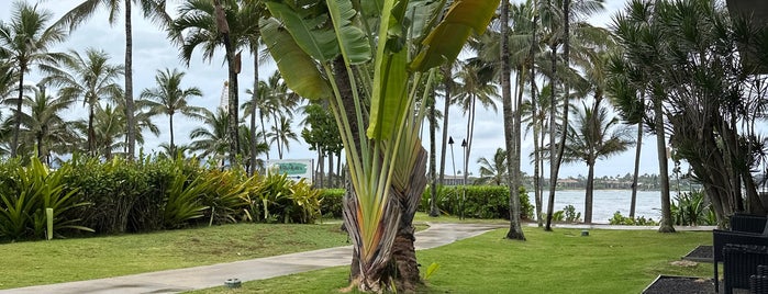 Hilton Garden Inn is one of Hawaii - Kauai.