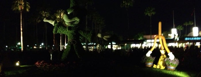 Sorcerer Mickey Topiary is one of Disney Fun.