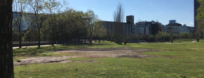 Parque Mujeres Argentinas is one of Aire Libre.
