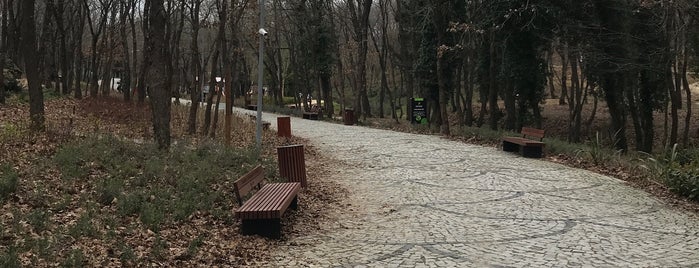 İBB Rahmi Demir Kent Ormanı is one of Açık hava.