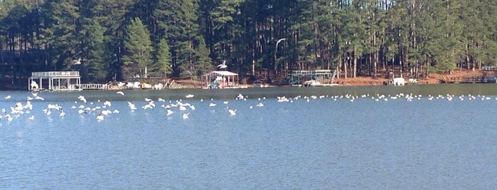 Lake Lanier-Thompson Creek is one of Ken’s Liked Places.