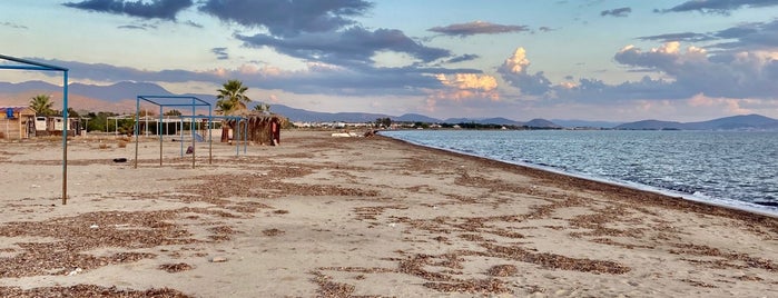 Dikili Konakları Plajı is one of themaraton.