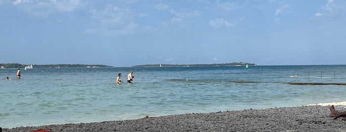 Fažana Beach / Spiaggia Fažana is one of Crot.