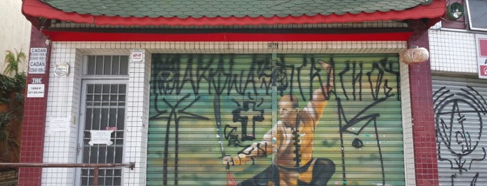 TSKF - Templo Shaolin de Kung Fu is one of TSKF & Kung fu.