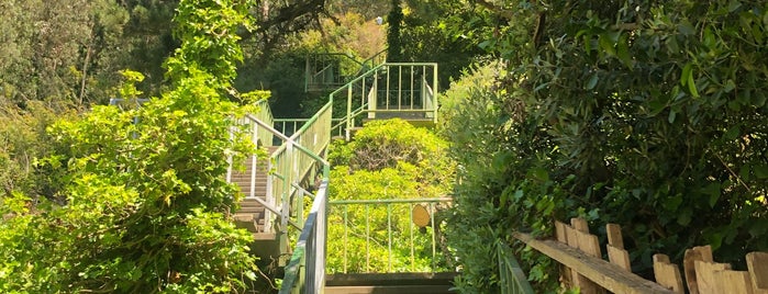 Oakhurst Stairs is one of Tantek : понравившиеся места.