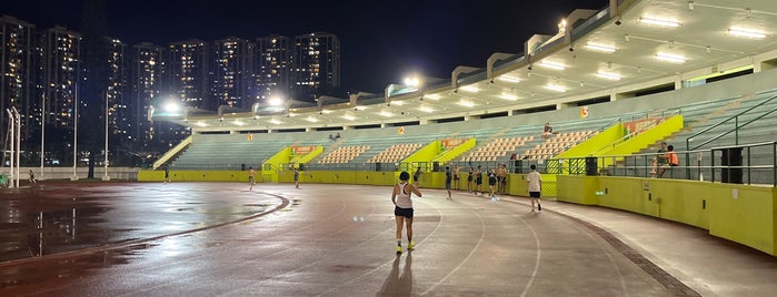 Sha Tin Sports Ground is one of Work.
