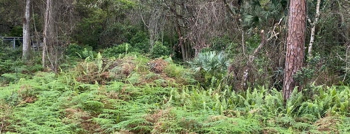 Tall Cypress Natural Area is one of Coral Springs.
