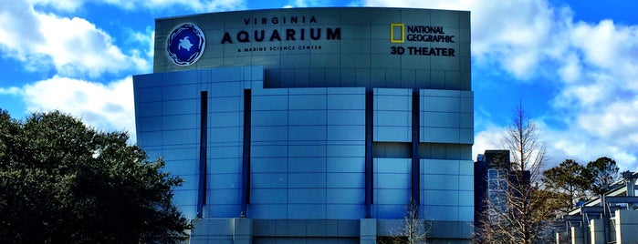 Virginia Aquarium & Marine Science Center is one of Virginia Beach, VA.