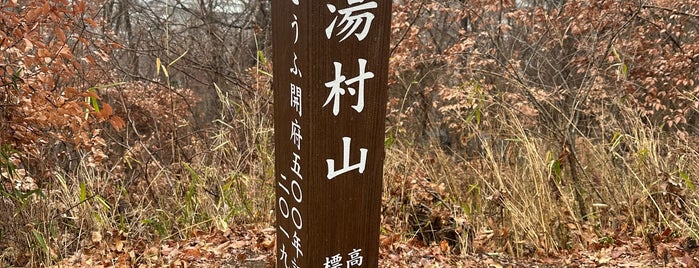 湯村山山頂 is one of 山と高原.