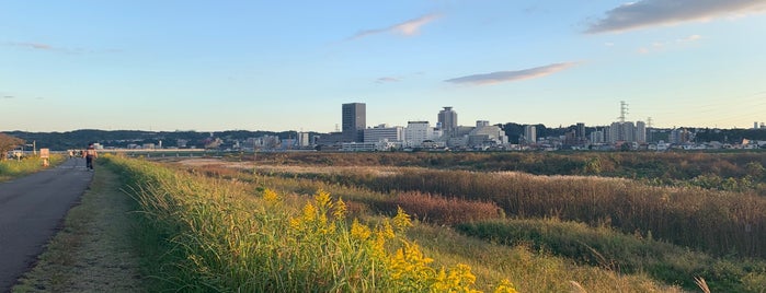 府中多摩川かぜのみち 四谷橋前 is one of 多摩川.