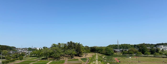 多賀城市中央公園 is one of Miyagi.