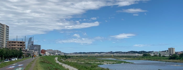 多摩川左岸 海から29Km is one of 多摩川.