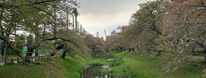 立川公園 is one of サイクリング大好き♥.