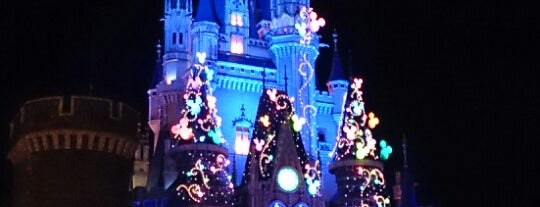 Tokyo Disneyland is one of Leisure.