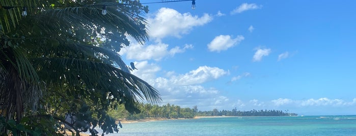 El Mosquito Beach Bar is one of Dominican.