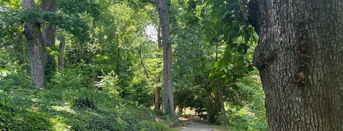 McPherson Park is one of Favorite date spots.