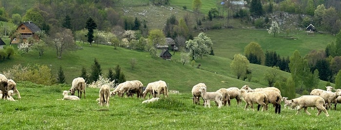 Carpathian Mountains is one of TRANSILVANIA - ROMANIA.