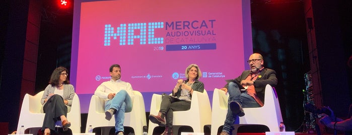 MAC Mercat Audiovisual de Catalunya is one of Ensenyament i Cultura.
