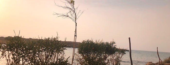 Sardunya Beach Cafe is one of Şevket : понравившиеся места.