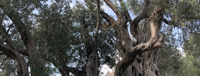 Kaleucagiz is one of güney  ege tatil.